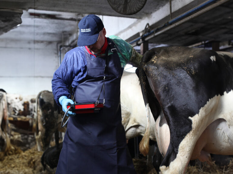 iScan 2 Ultrasound Scanner for large animals